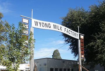 Comedy at Wyong Milk Factory